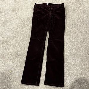 Maroon Loft Straight Corduroy Pants